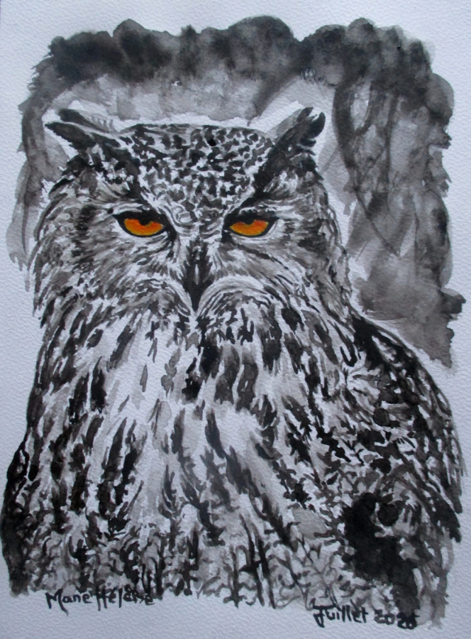Maître hibou